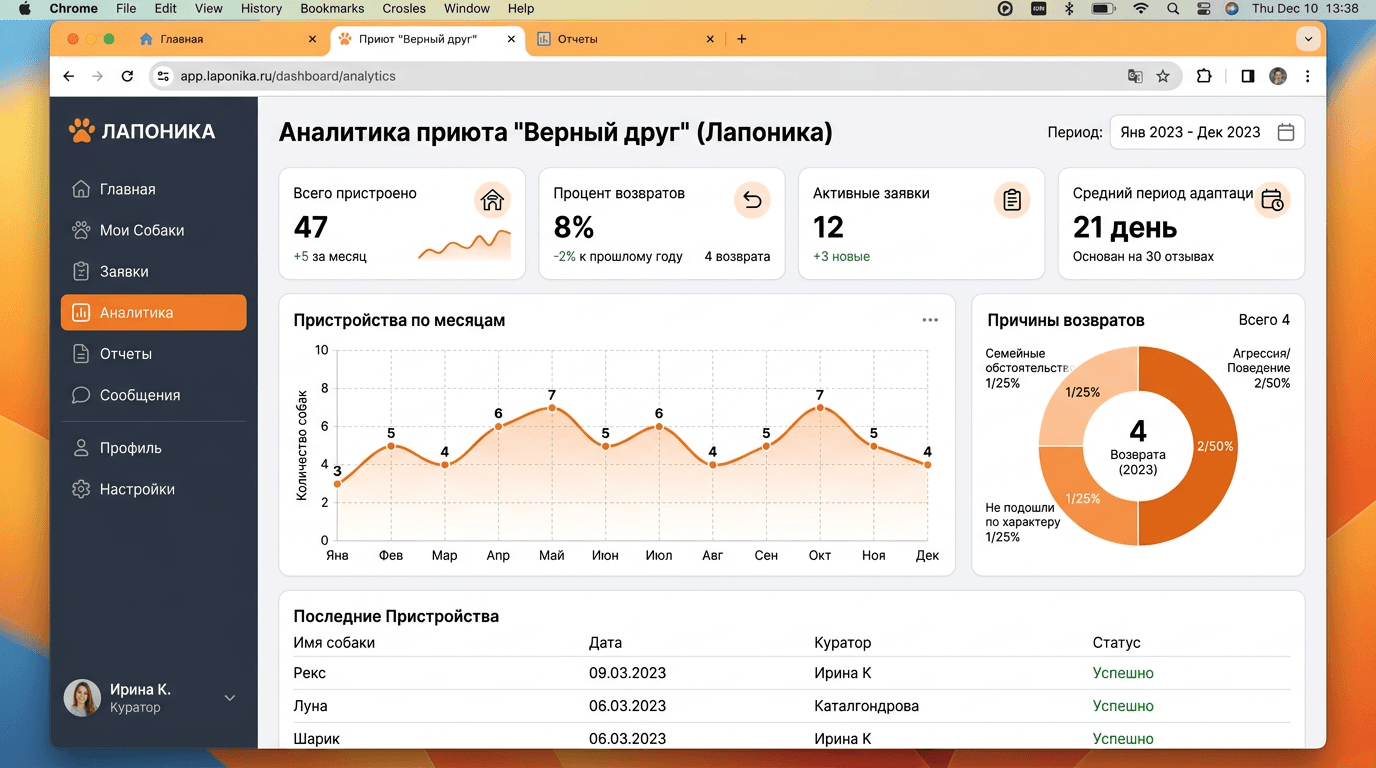 Аналитика приюта - графики пристройств и возвратов